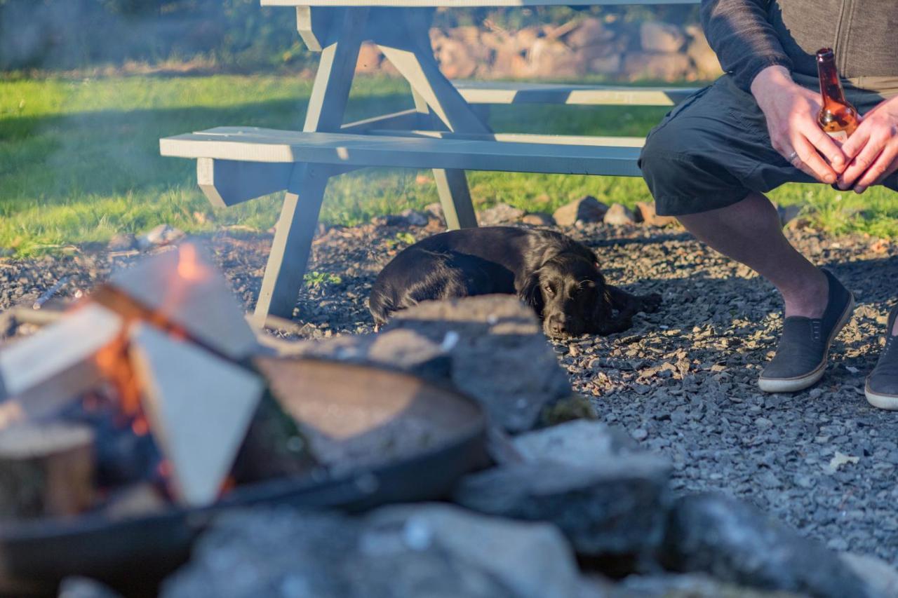 Duneden Belle Glamping Randalstown Exteriör bild